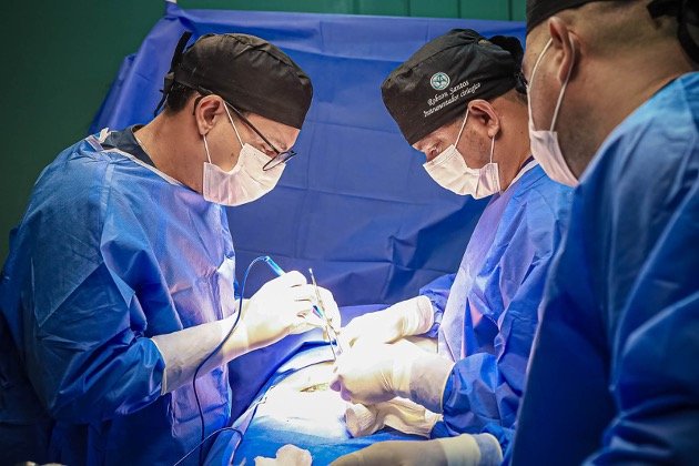 médico realizando laparotomia
médico realizando cirurgia com cortes
cirurgia ginecológica